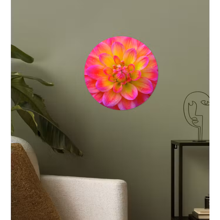 Roze - Dahlia - Kleurrijk Wandcirkel behangsticker klein -sfeer2