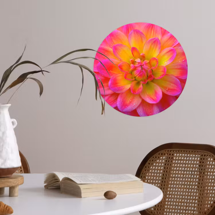 Roze - Dahlia - Kleurrijk Wandcirkel behangsticker klein -sfeer3