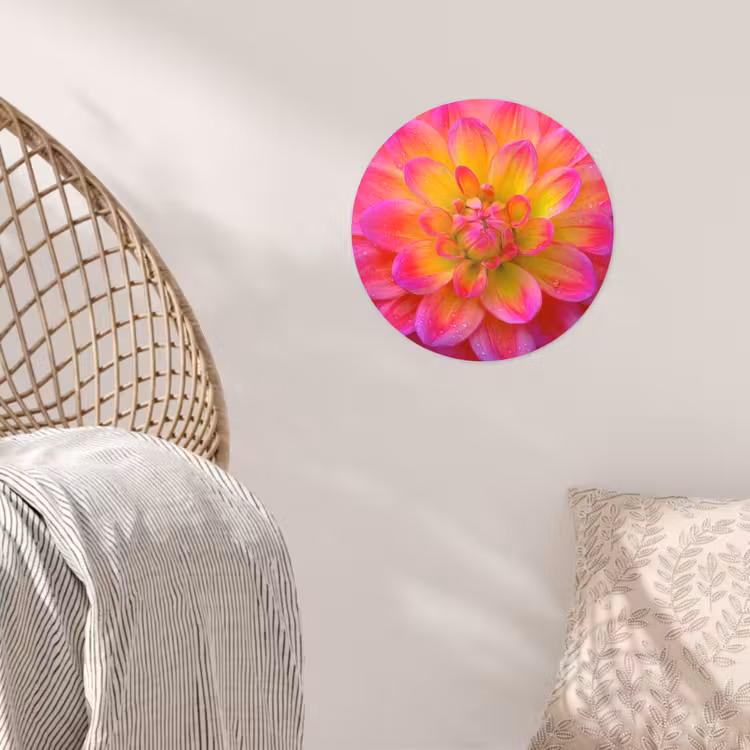 Roze - Dahlia - Kleurrijk Wandcirkel behangsticker klein -sfeer4
