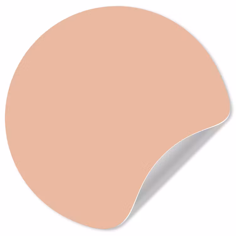 Blush - Terracotta - Nude Wandcirkel behangsticker klein 186 -3d