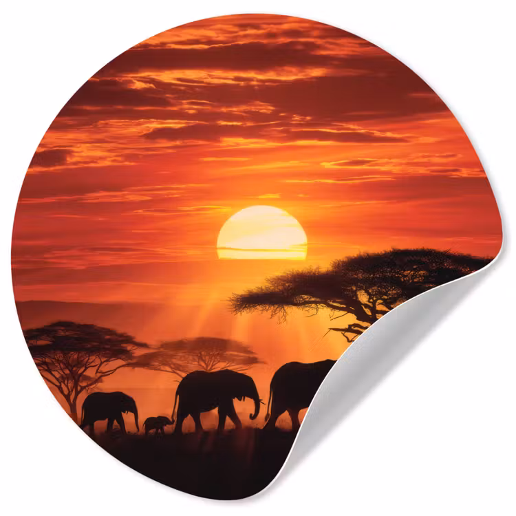Savanne - Olifanten - Zonsondergang Wandcirkel behangsticker klein -3d
