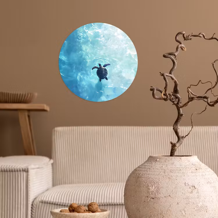Schildpad - Zee - Blauw - Schittering Wandcirkel behangsticker klein -sfeer1