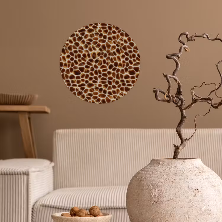 Schildpad - Bruin - Patroon Wandcirkel behangsticker klein 186 -sfeer1
