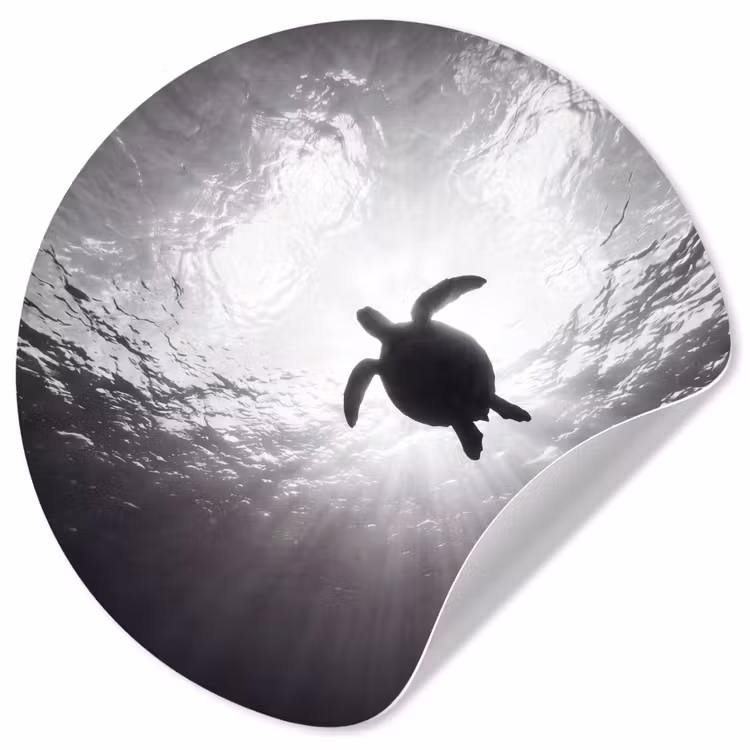Schildpad - Onderwater - Lichtstralen - Oceaan - Zwart-wit Wandcirkel behangsticker klein -3d