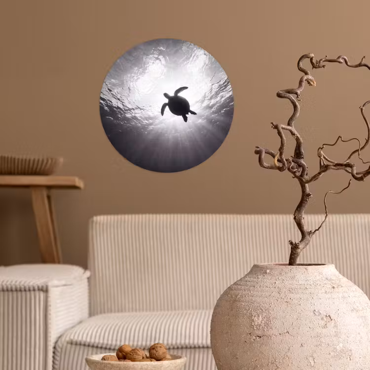 Schildpad - Onderwater - Lichtstralen - Oceaan - Zwart-wit Wandcirkel behangsticker klein -sfeer1