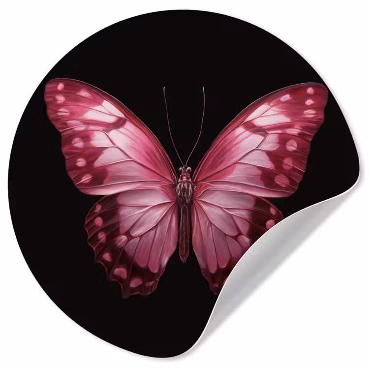 Vlinder - Fuchsia - Grafisch Wandcirkel behangsticker klein -3d