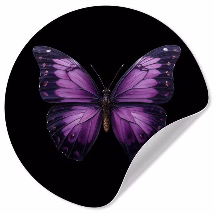 Vlinder - Paars - Levendig Wandcirkel behangsticker klein -3d