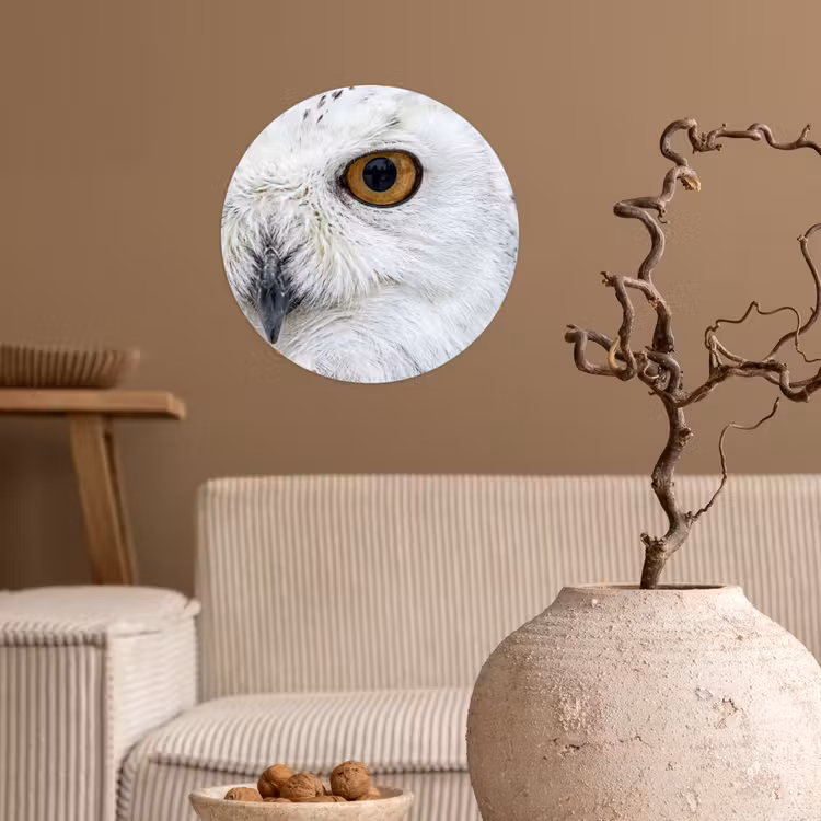 Sneeuwuil - Oog - Wildlife - Wit Wandcirkel behangsticker klein -sfeer1
