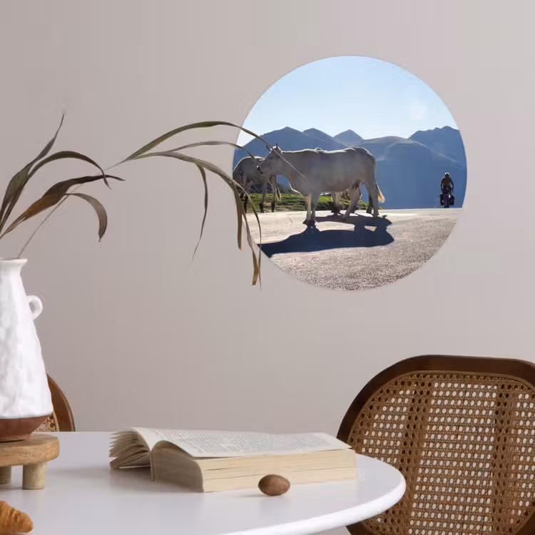 Schotse hooglander - Licht - Berg - Natuur Wandcirkel behangsticker klein -sfeer3