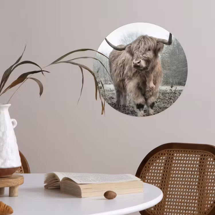 Schotse hooglander - Natuur - Herfst - Dieren - Wild - Bos Wandcirkel behangsticker klein -sfeer3