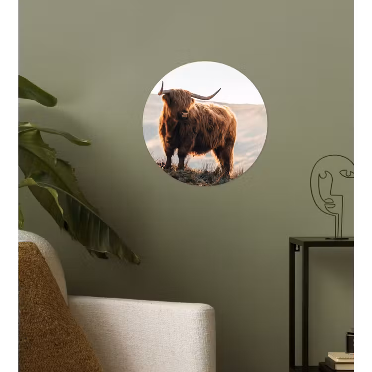 Schotse hooglander - Dieren - Landelijk - Landschap - Koe - Natuur Wandcirkel behangsticker klein -sfeer2