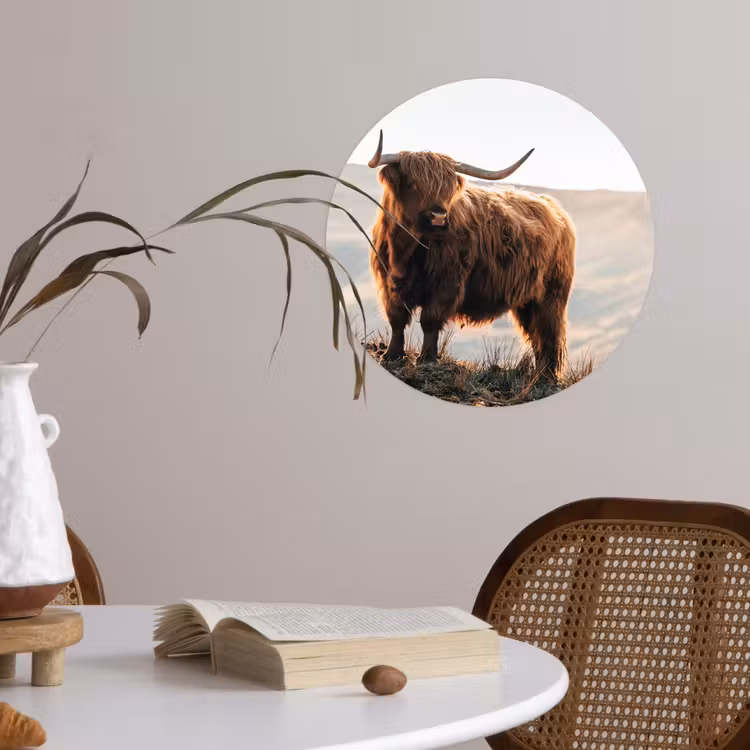 Schotse hooglander - Dieren - Landelijk - Landschap - Koe - Natuur Wandcirkel behangsticker klein -sfeer3
