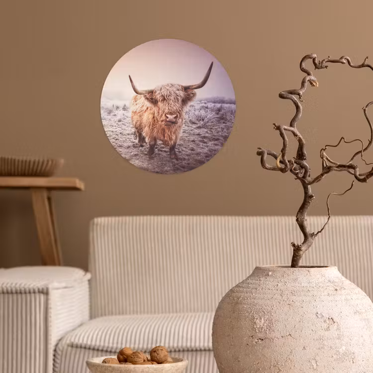 Schotse hooglanders - Licht - Lucht - Natuur Wandcirkel behangsticker klein -sfeer1