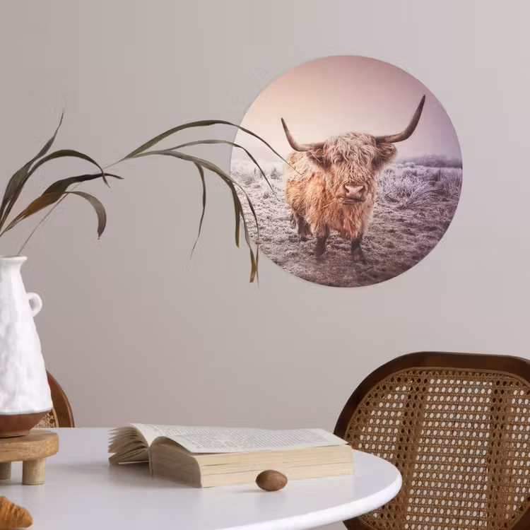 Schotse hooglanders - Licht - Lucht - Natuur Wandcirkel behangsticker klein -sfeer3