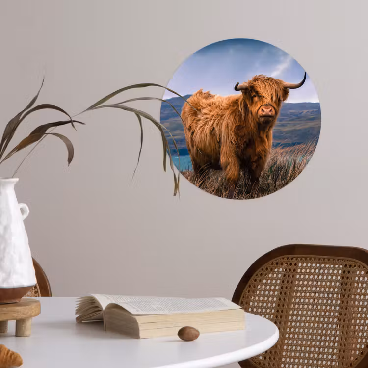 Schotse Hooglander - Berg - Water - Natuur - Koe Wandcirkel behangsticker klein -sfeer3