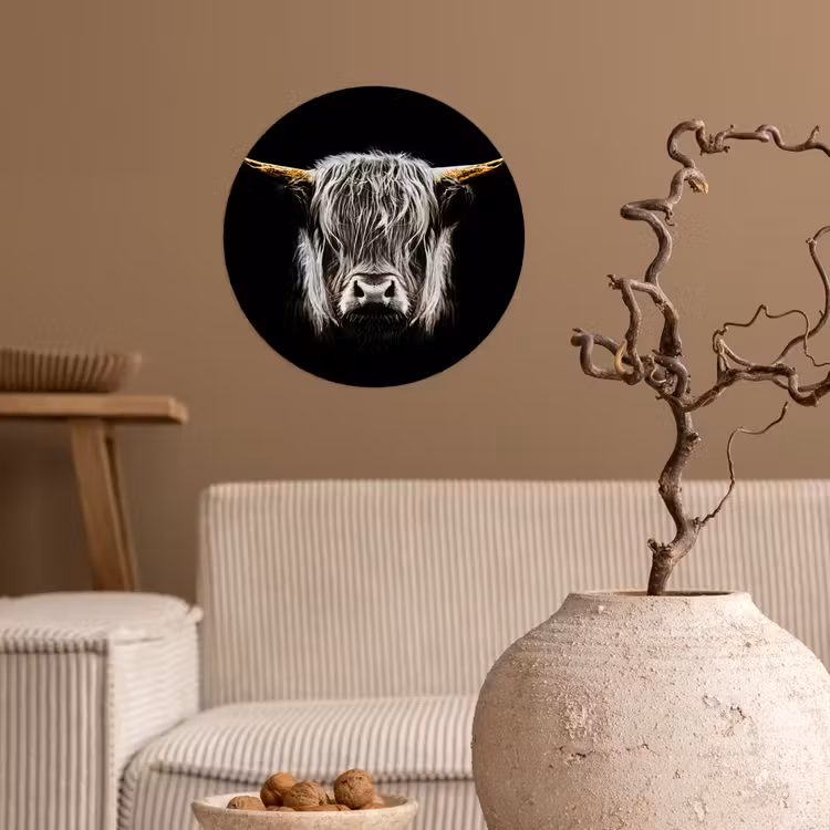 Schotse hooglander - Goud - Hoorns - Zwart wit - Koe - Dieren Wandcirkel behangsticker klein -sfeer1