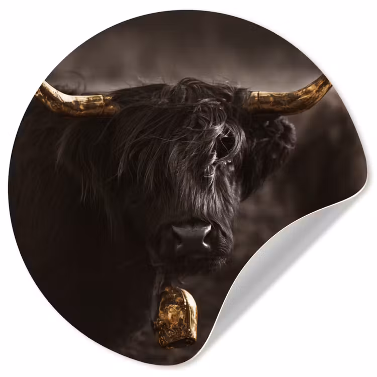 Schotse hooglander - Goud - Koebel - Hoorns - Dieren Wandcirkel behangsticker klein -3d