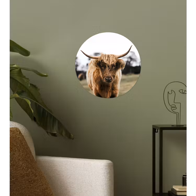 Schotse Hooglander - Koe - Gras - Dieren - Natuur Wandcirkel behangsticker klein -sfeer2