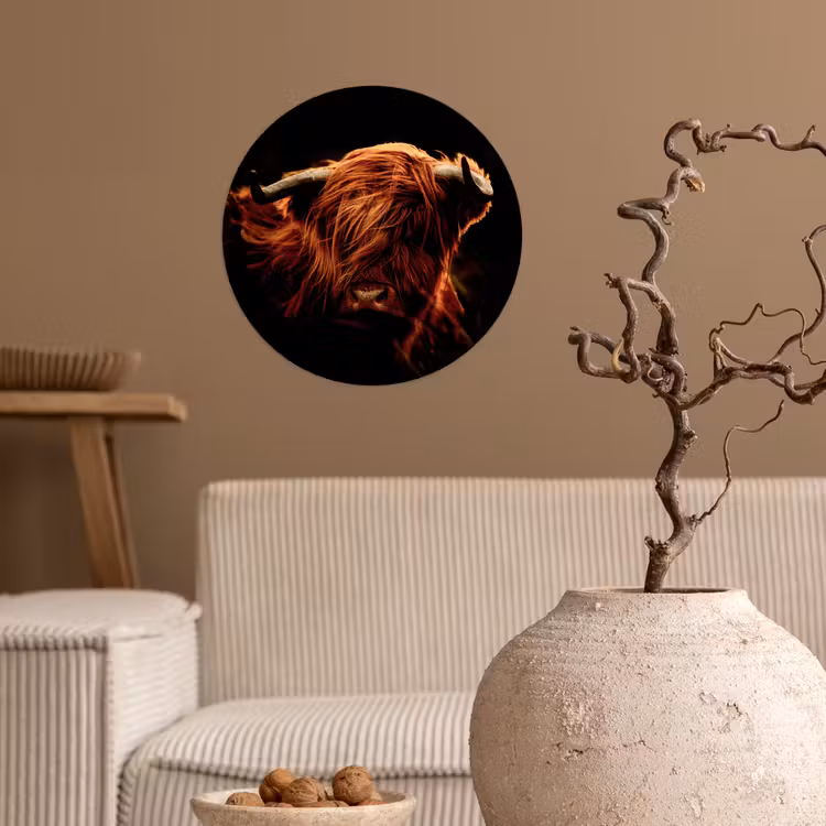 Schotse hooglander - Koe - Hoorns - Portret - Dieren Wandcirkel behangsticker klein -sfeer1