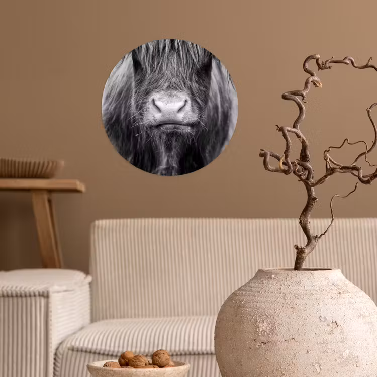 Schotse hooglander - Koe - Zwart - Wit - Dieren Wandcirkel behangsticker klein -sfeer1