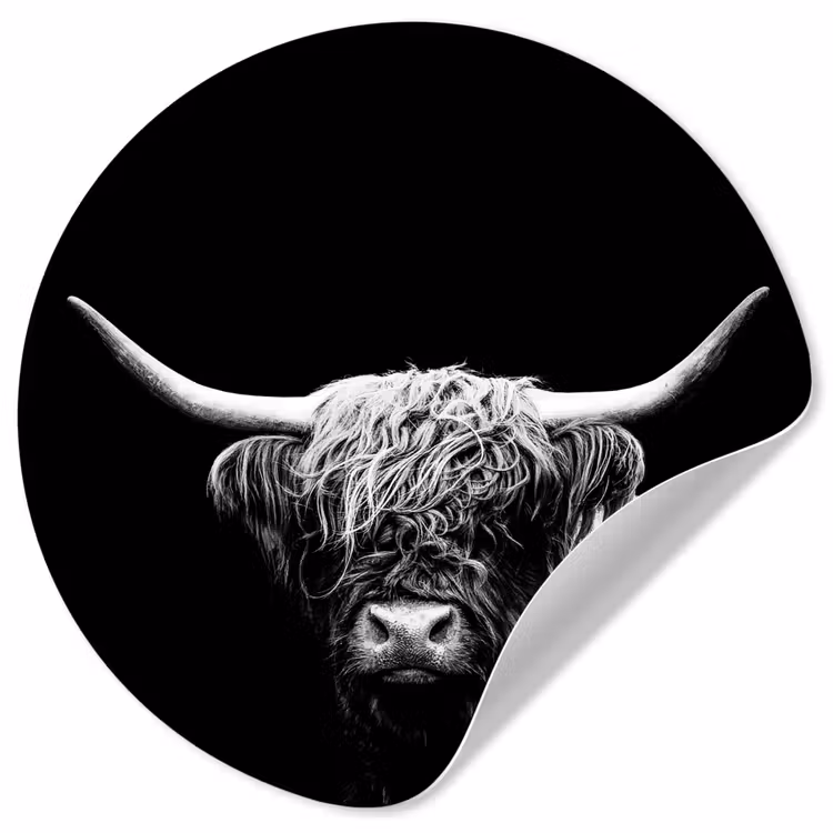 Schotse Hooglander - Koe - Zwart - Wit - Dieren Wandcirkel behangsticker klein -3d