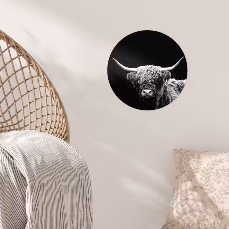 Schotse Hooglander - Koe - Zwart - Wit - Dieren Wandcirkel behangsticker klein -sfeer4