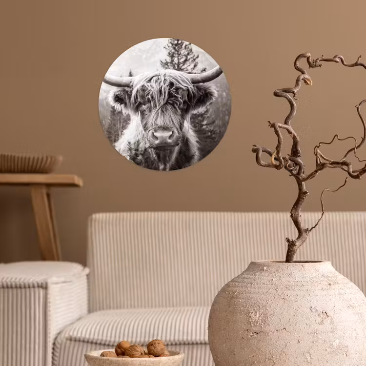 Schotse hooglander - Koe - Dieren - Zwart - Wit Wandcirkel behangsticker klein -sfeer1