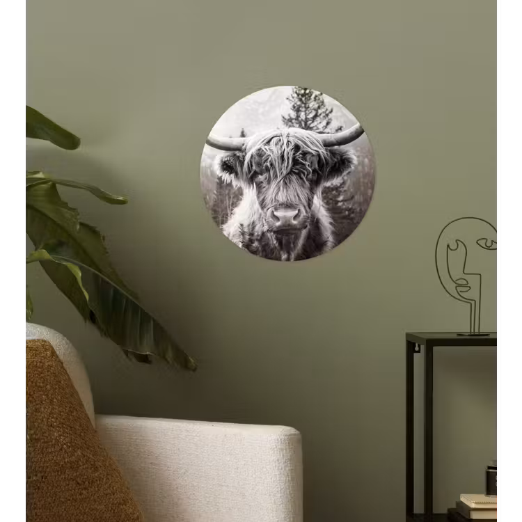 Schotse hooglander - Koe - Dieren - Zwart - Wit Wandcirkel behangsticker klein -sfeer2