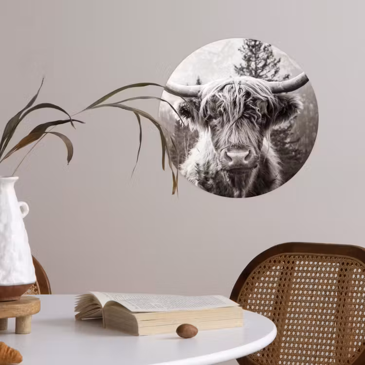 Schotse hooglander - Koe - Dieren - Zwart - Wit Wandcirkel behangsticker klein -sfeer3