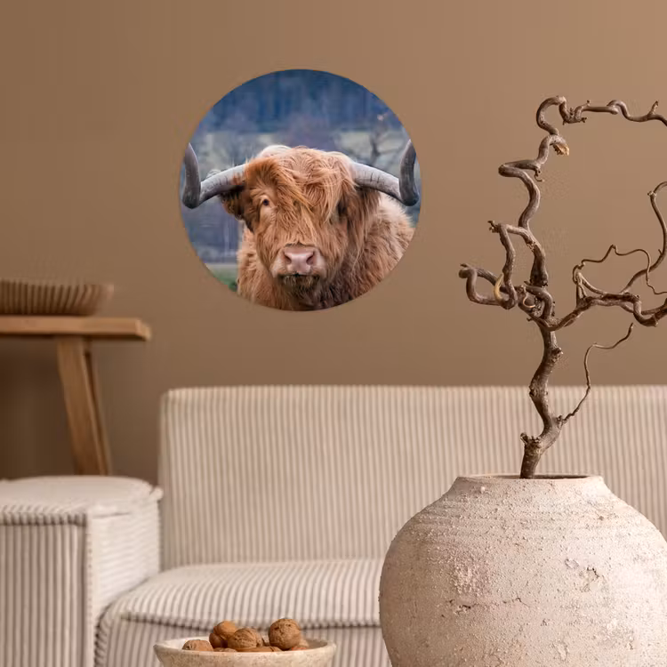 Schotse Hooglander - Koeienkop - Landschap - Natuur - Koe Wandcirkel behangsticker klein -sfeer1