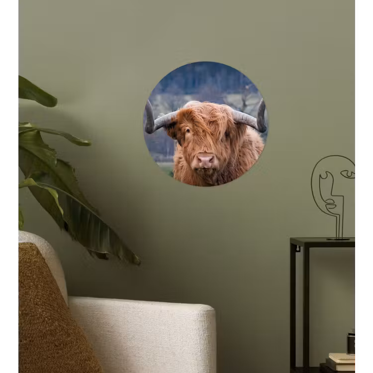Schotse Hooglander - Koeienkop - Landschap - Natuur - Koe Wandcirkel behangsticker klein -sfeer2