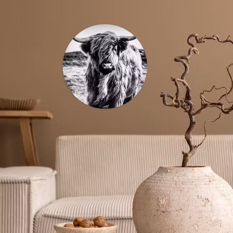 Schotse hooglander - Natuur - Koe - Zwart - Wit Wandcirkel behangsticker klein -sfeer1