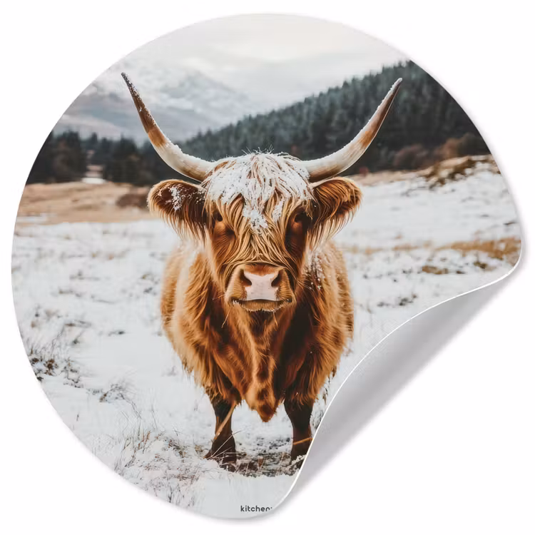 Schotse Hooglander - Sneeuw - Winter - Dieren Wandcirkel behangsticker klein -3d
