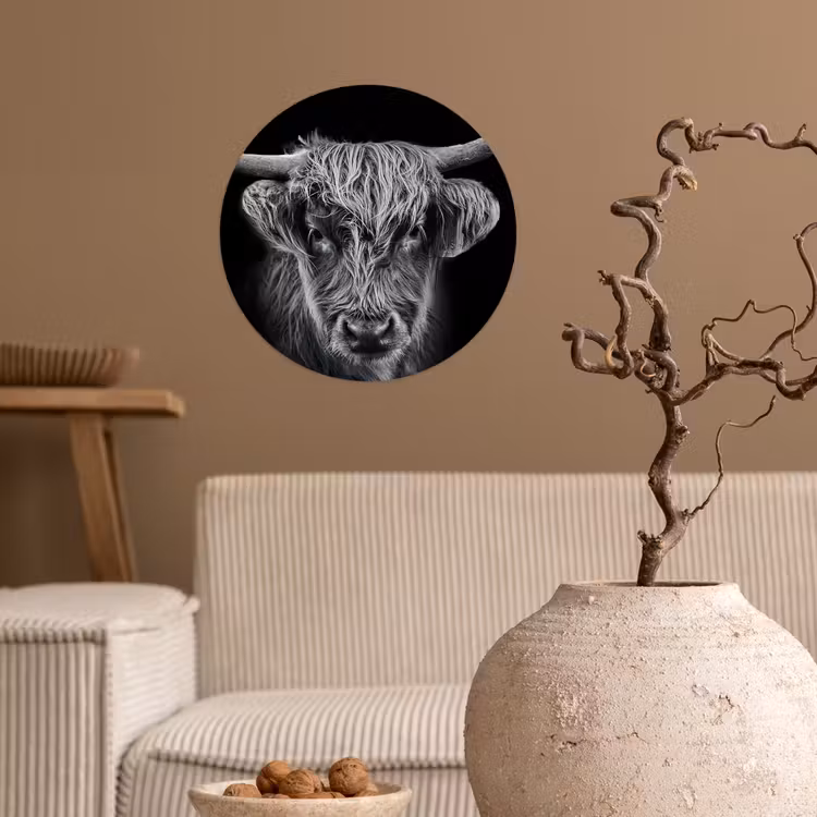 Schotse hooglander - Zwart - Koe - Dieren Wandcirkel behangsticker klein -sfeer1