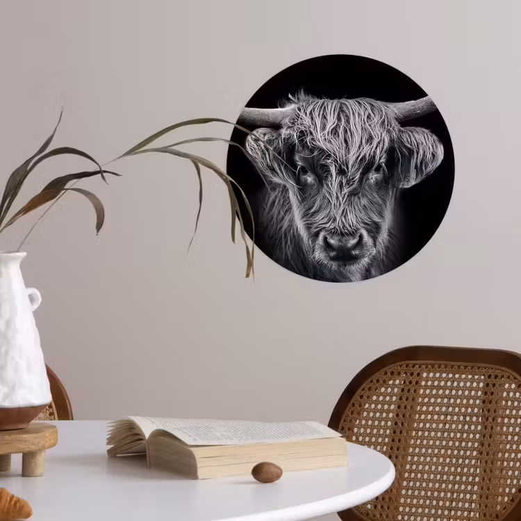 Schotse hooglander - Zwart - Koe - Dieren Wandcirkel behangsticker klein -sfeer3