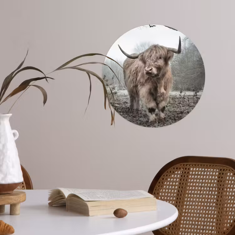 Schotse Hooglander - Bos - Mist - Koe - Dieren - Natuur Wandcirkel behangsticker klein -sfeer3