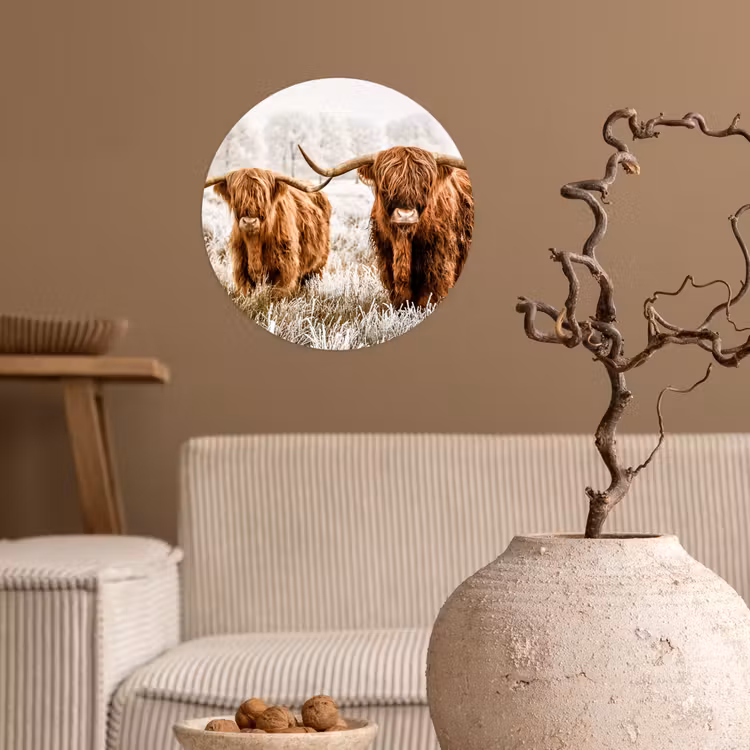 Schotse hooglander - Koe - Natuur - Winter Wandcirkel behangsticker klein -sfeer1
