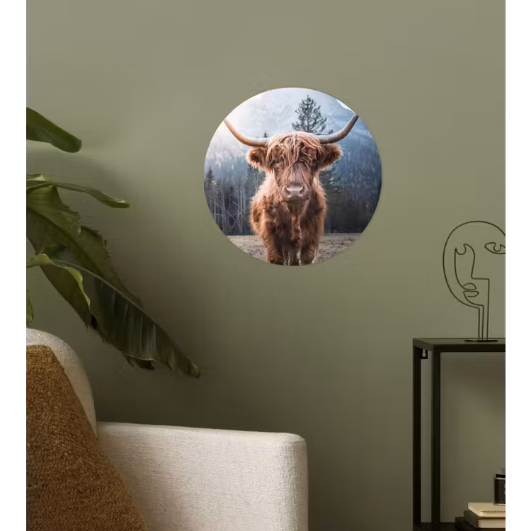 Schotse hooglander - Koe - Dieren - Berg - Natuur Wandcirkel behangsticker klein -sfeer2