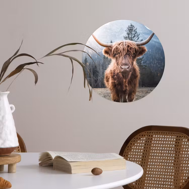 Schotse hooglander - Koe - Dieren - Berg - Natuur Wandcirkel behangsticker klein -sfeer3