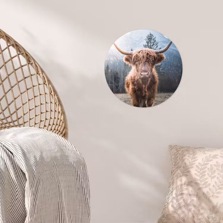 Schotse hooglander - Koe - Dieren - Berg - Natuur Wandcirkel behangsticker klein -sfeer4