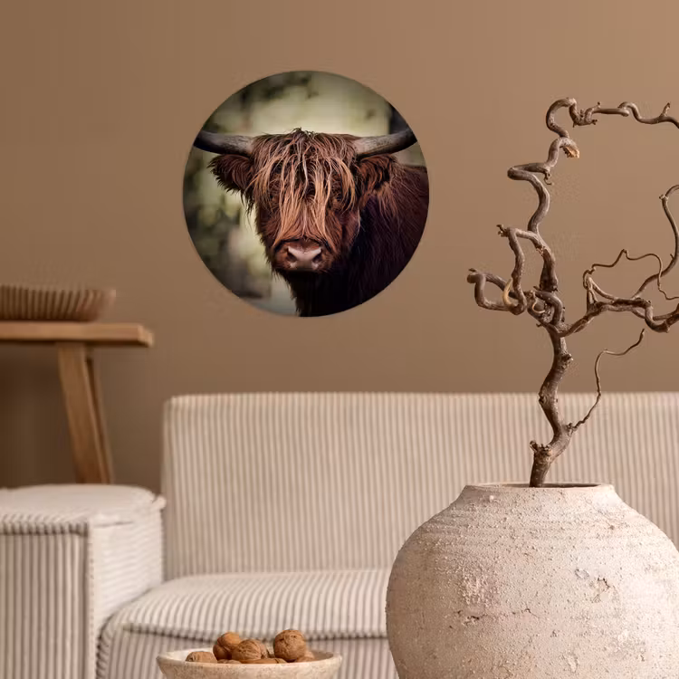 Schotse hooglander - Licht - Portret - Natuur Wandcirkel behangsticker klein -sfeer1