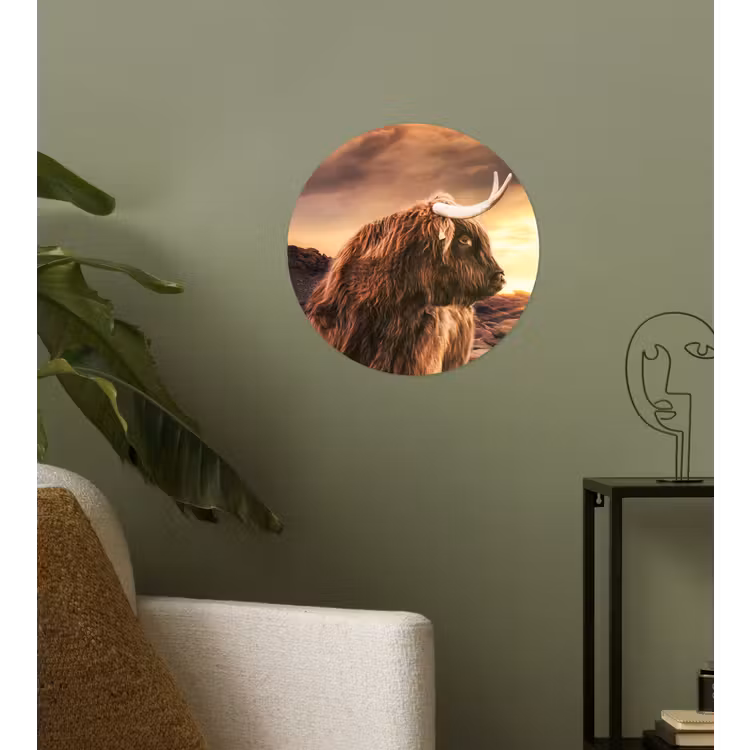 Schotse hooglander - Zon - Horizon - Koe - Dieren Wandcirkel behangsticker klein -sfeer2
