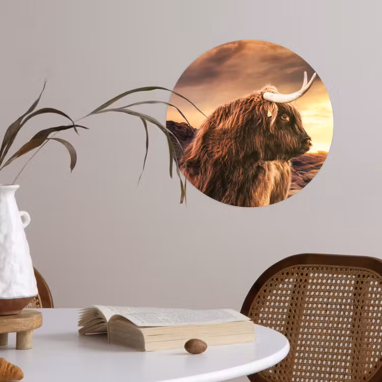 Schotse hooglander - Zon - Horizon - Koe - Dieren Wandcirkel behangsticker klein -sfeer3