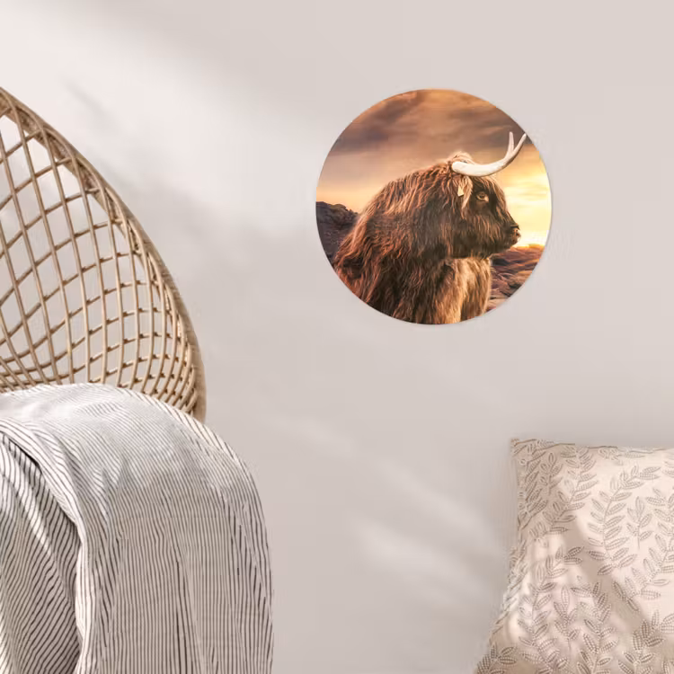 Schotse hooglander - Zon - Horizon - Koe - Dieren Wandcirkel behangsticker klein -sfeer4