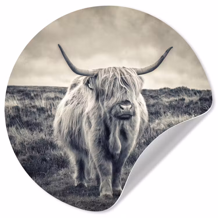 Schotse hooglander - Dieren - Wolken - Koe - Natuur Wandcirkel behangsticker klein -3d