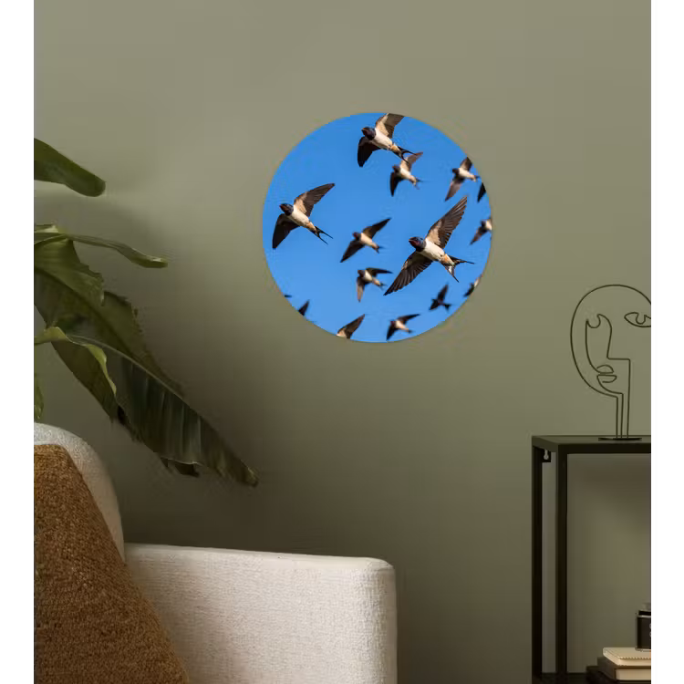 Zwaluwen - Vliegen - Blauw Wandcirkel behangsticker klein -sfeer2