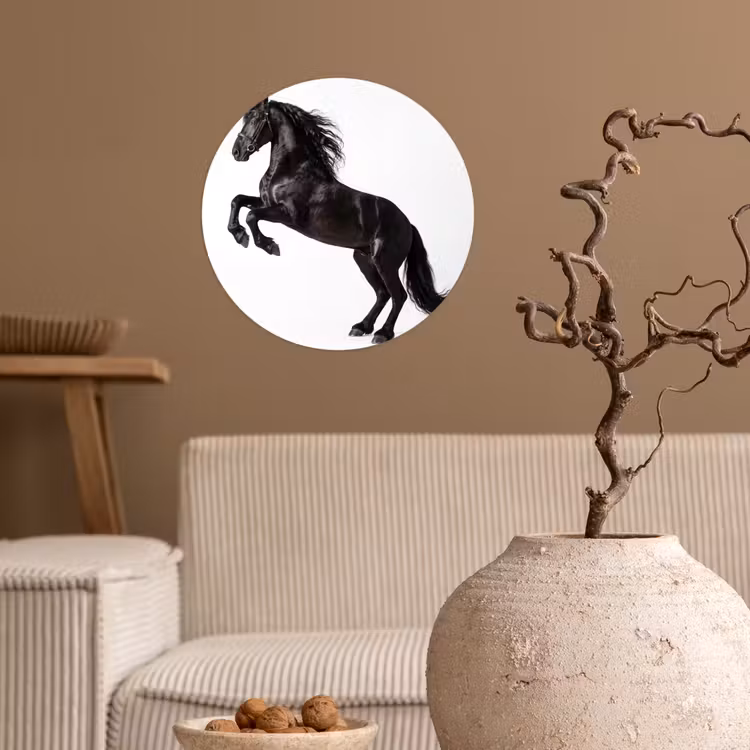 Zwart - Paard - Portret Wandcirkel behangsticker klein -sfeer1