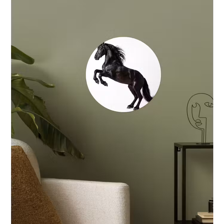 Zwart - Paard - Portret Wandcirkel behangsticker klein -sfeer2