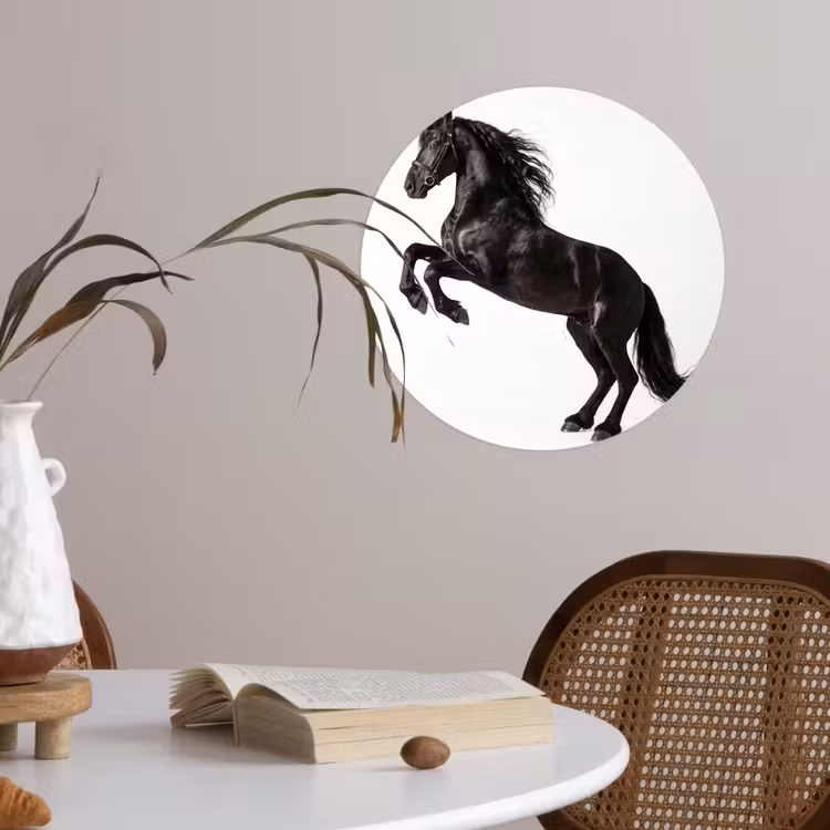 Zwart - Paard - Portret Wandcirkel behangsticker klein -sfeer3