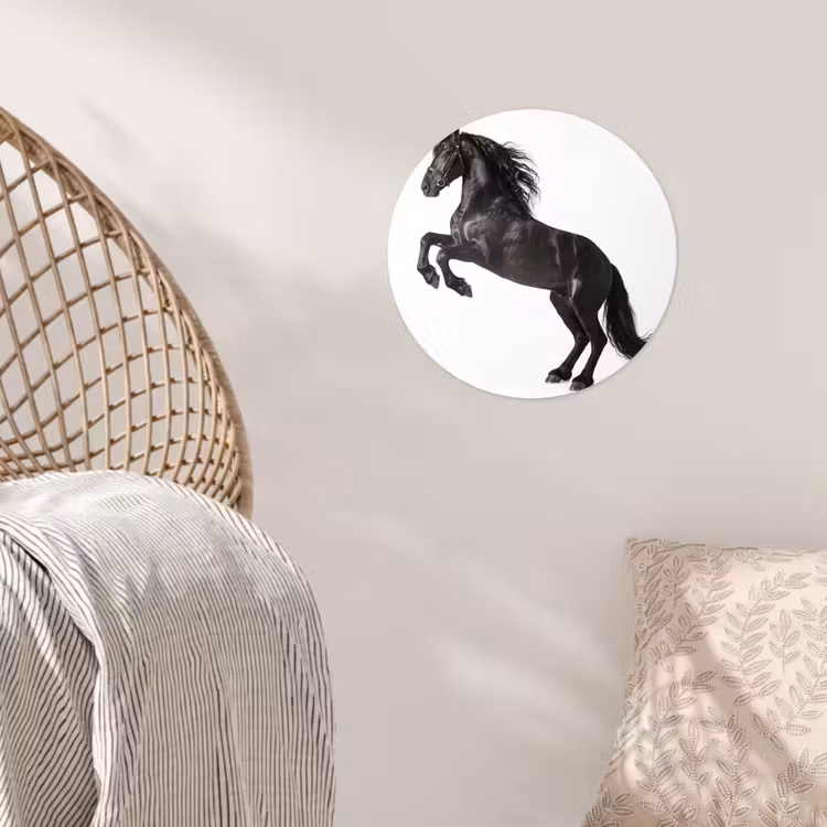 Zwart - Paard - Portret Wandcirkel behangsticker klein -sfeer4